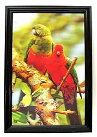 Parrot 3-D Picture 0126-3D2904