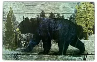 Bear Cutting Board/Hot Pad 0126-60049