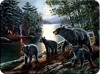 Bear Cutting Board 017-751