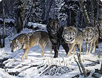 WOLF PACK Glass Cutting Board 017-756