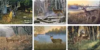 Deer Scene Cutting Boards Assorted Priced Each 017-786