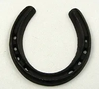 Medium Horse Shoe Set of 10 0170-05210-10