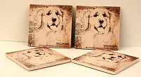 Golden Lab Coasters Set of 4 0183-36471