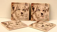 Australian Shepard Coaster Set of 4 0183-36499