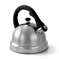 Mr. Coffee Claredale 2.2 Quart Brushed Stainless Steel Whistling Tea Kettle with