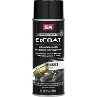 SEM Ez Coat&trade; - 16oz Aerosol Can - Black