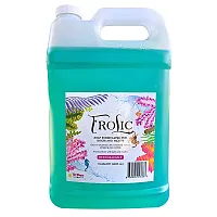 TD Mop Frolic Soap - 1 Gallon