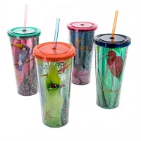 Gibson Home Tropical Bird 4 Piece 23.6 Ounce Double Wall Tumbler Set with Straw