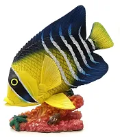 Novelties & Gifts 1255530-Y/B Resin Decorative Tropical Fish - Y