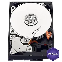 Cmple Wd Purple Wd10Purx 1Tb Surveillance 3.5&quot; Internal Sata Har