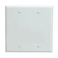 Cmple Blank 2 Gang Thermoplastic Panel Wall Plate (Gfci), White 
