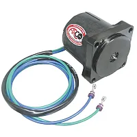 ARCO Marine Replacement Outboard Tilt Trim Motor - Johnson/Evinrude, 2-Wire, 4 B