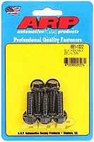 ARP 6611002 M8 X 1.25 X 25 Hex Blk