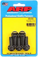 ARP 6731002 M10 X 1.25 X 25 12Pt Blk
