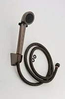 AMER BRASS APS60ORB 60&#039; All Purpose Shwr