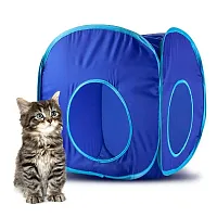 Blue Pop-Up Cat Play Cube with Storage Bag ACTN-302