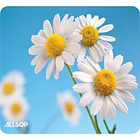 Allsop 31420 Naturesmart Mouse Pad (Daisies)