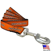 All Star Dogs Princeton Tigers Pet Leash - Small