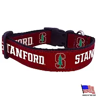 All Star Dogs Stanford Cardinal Pet Collar - Medium