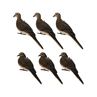 Avian-X Axp Full-Body Dove Decoys (6-Pack)