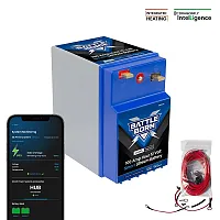 BATTLE BORN BBGC2IH Battleborn Batteries