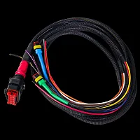 BATTLE BORN WSPH P-Type Harness (5Ft)