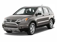 BLACK HORSE BB150503SP 2013-2016 Acura Rdx Bull Bar-Bull B