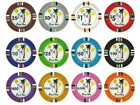 Desert Heat 13.5 Gram Poker Chip Sample BRY000692U