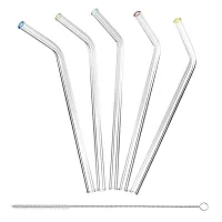 Better Houseware 308 Glass Straws With Cleaning Brush, Set Of 5 (Standard)