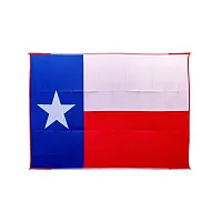 CAMCO 42860 Outdoor Mat 9X12 Texas Flag
