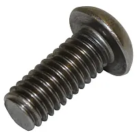 CROWN AUTO 4004956SS Ss Torx Bolt