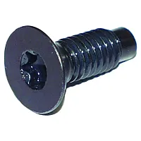 CROWN AUTO 6035757 Torx Screw