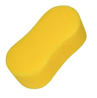 CARRAND 40102 Giant Bone Sponge