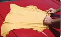 CARRAND 40206AS 5 Sq Ft Full Skin Chamois
