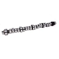 COMP CAMS 206029 Crs262Hr12