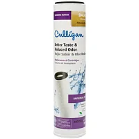 CULLIGAN INT D20A Taste/Odor Cartridge