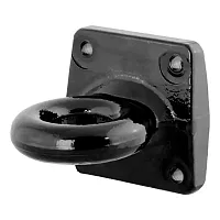 CURT MFG 48550 Adjustable Lunette Eye
