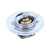 MOTOR RAD AM 200160 Thermostat
