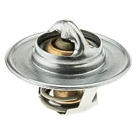 MOTOR RAD AM 200205 Thermostat