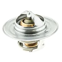 MOTOR RAD AM 300160 Thermostat
