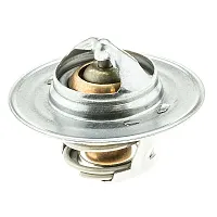 MOTOR RAD AM 300180 Thermostat