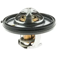 MOTOR RAD AM 420180 Thermostat