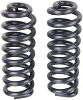 DORMAN 929901 Coil Spring Set