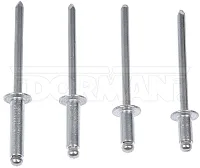DORMAN 961025 Rivet 5/32 Assortment