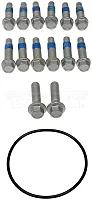 DORMAN 966003 Hub Rotor And Caliper Bracket Bolt