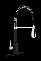 DURA FAUCET NMK504MBSN Spring Coil Pull-Down Rv Kitchen Fa