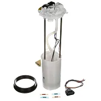DELPHI FG0407 Fuel Pump Module Assem