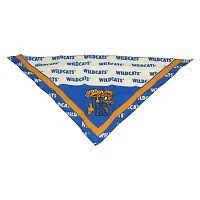 Pet Goods Manufacturing Kentucky Wildcats Triangle Bandana