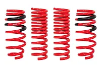 EIBACH 1027004012 Prokit Lwrng Sprngs Hellcat Scat Pk