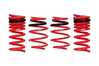 EIBACH 49528 Slk Chall Srt-8 08-09